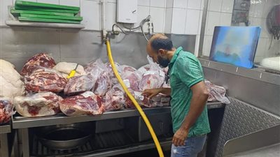 بينها مطعم شهير في الدقي.. ضبط لحوم ودواجن غير صالحة للاستهلاك الآدمي بالجيزة