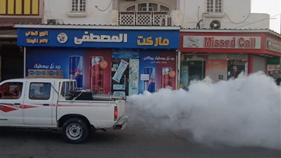 الفرق الصحية بسفاجا والقصير تواصل أعمالها لمكافحة الحشرات والإصحاح البيئي | صور