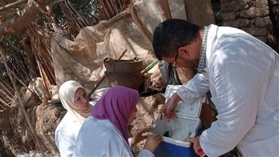 مدير الطب البيطري بالمنوفية: تحصين 130 ألف رأس ماشية ضد الحمى القلاعية في 6 أيام