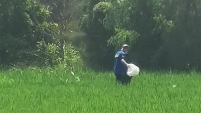 العثور على جثمان متسول متعفن وسط الزراعات بطنطا 