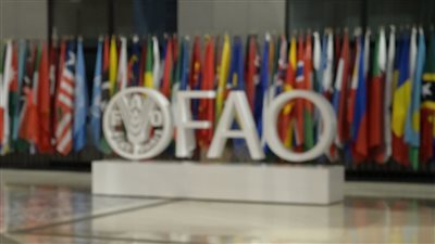 بمشاركة مدبولي.. انطلاق قمة الأمم المتحدة للنظم الغذائية في روما اليوم