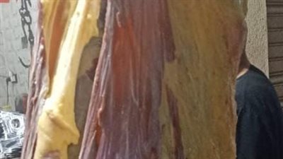 ضبط بقرة دون السن تزن 215 كيلو مذبوحة خارج المجازر الحكومية بالبحيرة