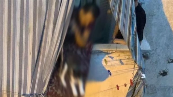 رجل يرهب كلابا