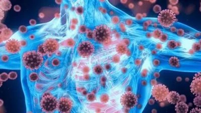 5 أطعمة لتعزيز الجهاز المناعي والحفاظ على الصحة العامة.. تعرف عليها