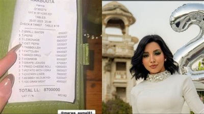 اتغدينا بـ 8 مليون.. بلوجر تثير الجدل بسبب سعر وجبة غداء في لبنان