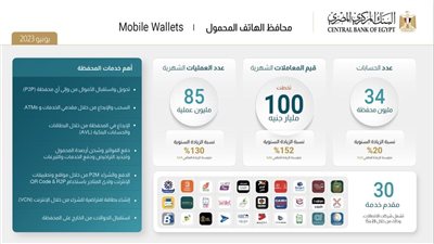 المركزي: تحويل 100 مليار جنيه عبر 34 مليون محفظة إلكترونية خلال يونيو الماضي