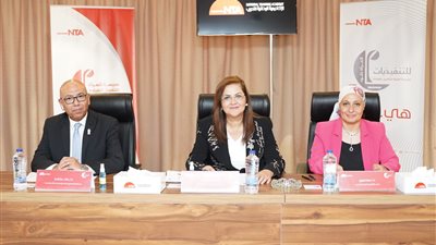 وزيرة التخطيط تترأس إحدى لجان برنامج المرأة تقود للتنفيذيات