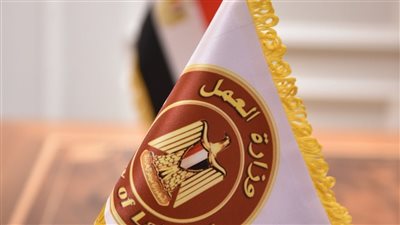 لا يشترط الخبرة.. وزارة العمل تعلن عن فرص بالقطاع الخاص لشباب الإسكندرية 