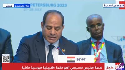 السيسي: أتطلع إلى اتفاق بشأن تصدير الحبوب لوضع حد لارتفاع الأسعار