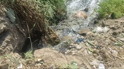 أهالي قرية شبرا خلفون بالمنوفية يستغيثون من مياه الصرف: عرضنا منازلنا للبيع| فيديو