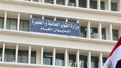 برواتب 3500 جنيه.. وزارة القوى العاملة تعلن وظائف خالية للشباب | بث مباشر