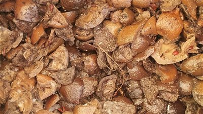 ضبط 31 ألف قطعة حلوى مغشوشة و620 كيلو عسل أسود منتهي الصلاحية بالغربية