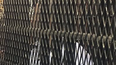 هشم رأسه بشومة.. دفاع المتهم بإنهاء حياة زميله بالدقهلية يطالب بعرضه على مستشفى الأمراض العقلية