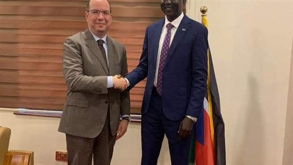 السفير المصري في