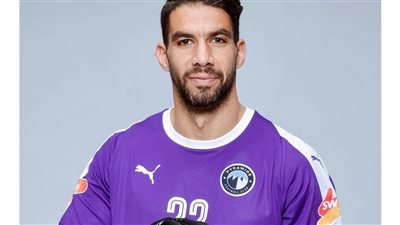 إكرامي: لو عقوبة الشحات مرضية لم يكن سيلجأ الشيبي للقضاء ولم أحلم بإنهاء مشواري في الأهلي