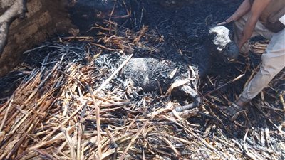 السيطرة على حريق نشب في منزل بقنا | صور 