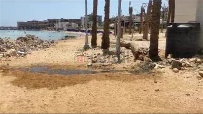 فيديو لـ كافيتريا تتخلص من مياه ملوثة بالبحر في الغردقة.. والوحدة المحلية تحقق