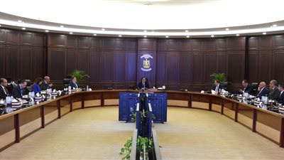 رئيس الوزراء يتابع خطوات إنشاء مجمع إنتاج الصودا آش بمدينة العلمين الجديدة