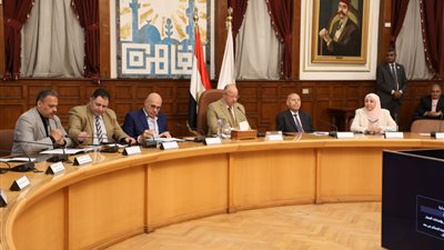 حظر تركيب الزينة في افتتاح المحلات والأفراح.. محافظ القاهرة يتابع إجراءات ترشيد استهلاك الكهرباء