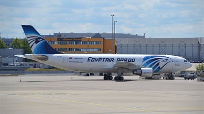 وزير الطيران يقرر دمج شركتين في مصر للطيران