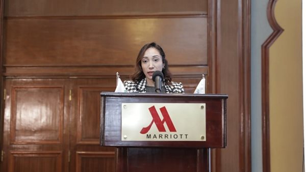 المدير التنفيذي للمجلس