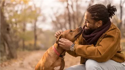 دراسة: ملاعبة الكلاب ولو لفترة قليلة تقلل التوتر وتزيد من السعادة