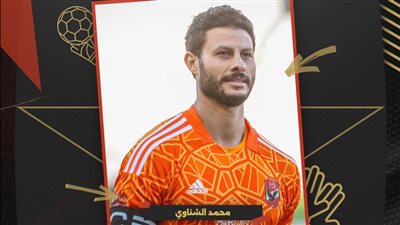 محمد الشناوي أفضل حارس في الدوري المصري بتصويت الجماهير 