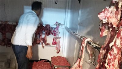 ضبط 13 طن لحوم ودواجن فاسدة في مخازن ومحلات بالجيزة