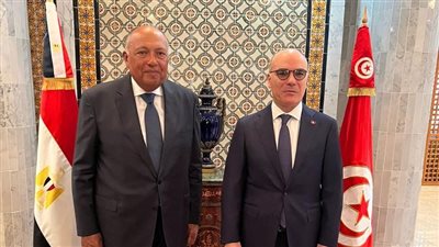 وزير الخارجية يعقد جولة مشاورات سياسية مع نظيره التونسي