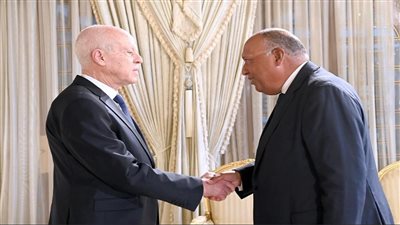 وزير الخارجية ينقل رسالة من الرئيس السيسي إلى نظيره التونسي