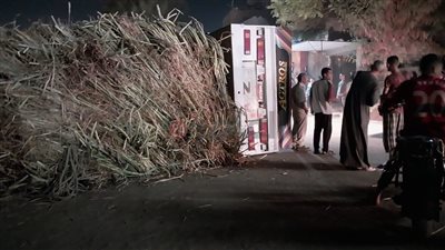 انقلاب تريلا محملة بالقصب على الطريق الزراعي بسوهاج |صور