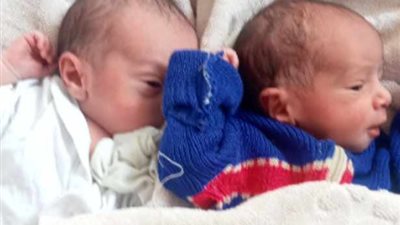 العثور على توأمين حديثي الولادة تحت شجرة في الإسماعيلية