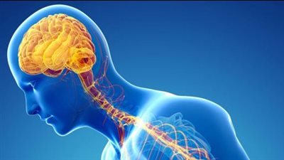 بعد إصابة طفلين به.. أعراض داء باتن