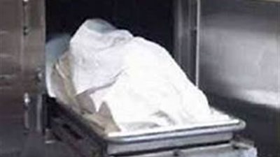 مصرع صغير صدمته سيارة خلال عبوره الطريق بالبحيرة