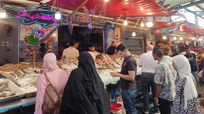 الشواطئ والأسواق والمتنزهات كاملة العدد في نهاية الأسبوع.. ومحافظ بورسعيد: نشر منقذين على الشاطئ