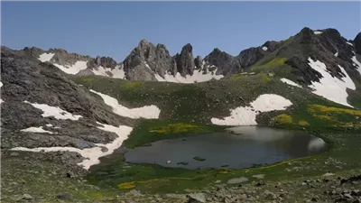 عمرها 3 ملايين سنة.. العلماء في حالة صدمة من اكتشاف حيوانات جديدة