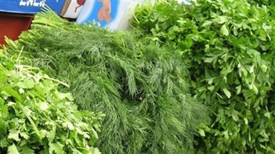 أزمة في خضرة المحشي بسبب ارتفاع الأسعار وقلة المعروض.. والشعبة ترد