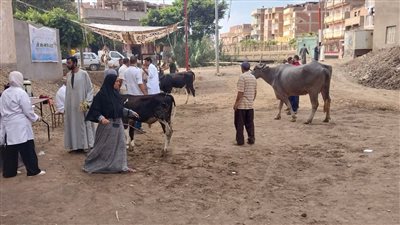 الكشف على 234 حيوانا و2500 طائر في قافلة بيطرية مجانية بقرية مشلة بالغربية