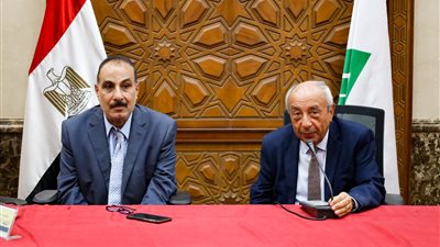 نقابة المهندسين: مصر تستهدف زيادة نسبة الطاقة النظيفة بحلول 2030 لتصل لـ 35% من إجمالي الطاقة المنتجة