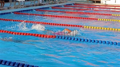 بمشاركة 1130 سباحًا.. استمرار منافسات بطولة الصعيد التاسعة للسباحة بالمنيا