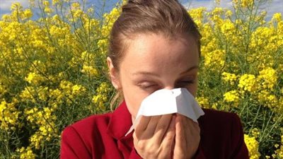 علماء يبتكرون أشجارا خالية من حبوب اللقاح لمساعدة مرضى حمى القش في التنفس