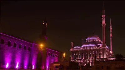 أبرزهم هاني شاكر.. وزيرة الثقافة تعتمد جدول فعاليات الدورة 31 من مهرجان قلعة للموسيقى 