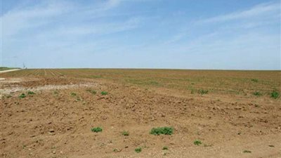 مصادر: دراسة إنشاء بنك الأرض لاستغلال المساحات الصغيرة في جميع أنحاء الجمهورية