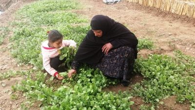 القومي لحقوق الإنسان: المرأة العاملة في القطاع الزراعي تمثل 40 % 