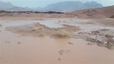 سيول في عز الصيف.. سقوط أمطار على سانت كاترين بجنوب سيناء | صور
