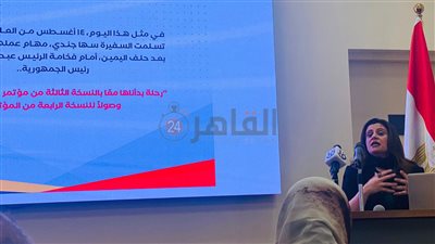 مليار دولار رأس مالها.. وزيرة الهجرة: مطالب من كبار مستثمري الجالية بالكويت بالمساهمة في شركة استثمار المصريين بالخارج 