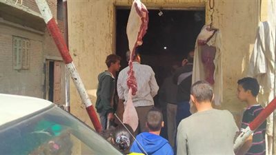 قبل شم النسيم.. ضبط ملح فاسد ولحوم مذبوحة خارج السلخانة بالشرقية (صور)