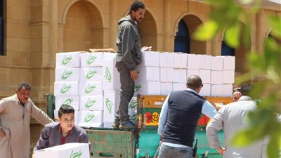 بمشاركة أحمد حسن.. توزيع إعانات غذائية بمعهد شلل الأطفال ودور أيتام في 5 محافظات (صور)