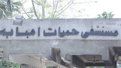 المستشفيات التعليمية تعلن السيطرة على حريق حميات إمبابة