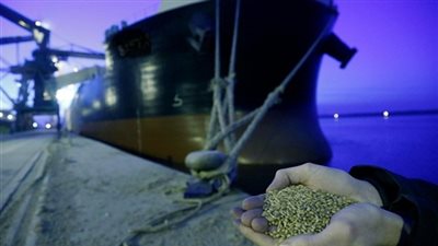 الحجر الزراعي: استمرار فحص الشحنات المستوردة خلال العيد